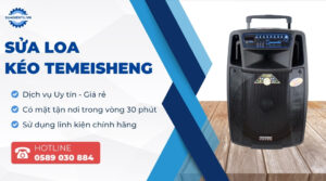 sửa loa kéo Temeisheng