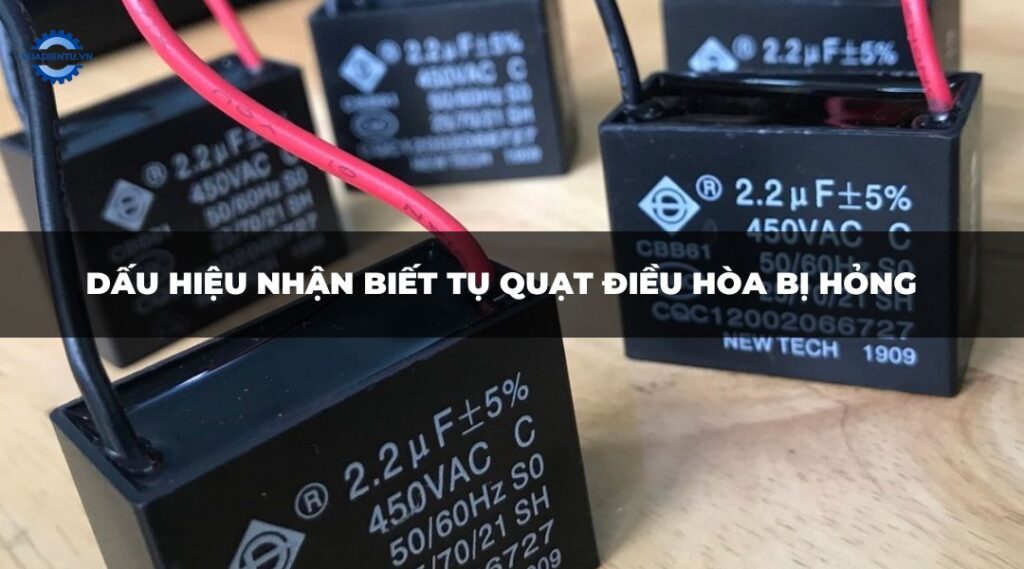 dau hieu tu qdh hong