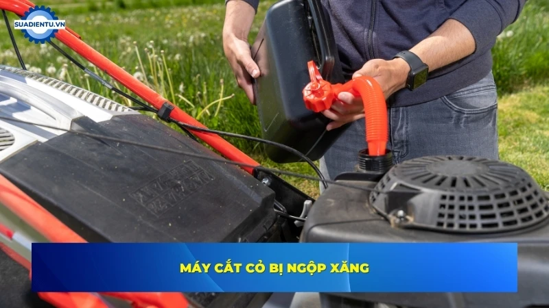 máy cắt cỏ bị ngộp xăng