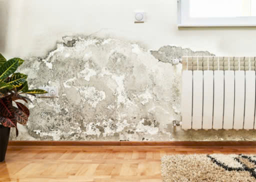 Tác hại khi máy hút ẩm bị đóng băng