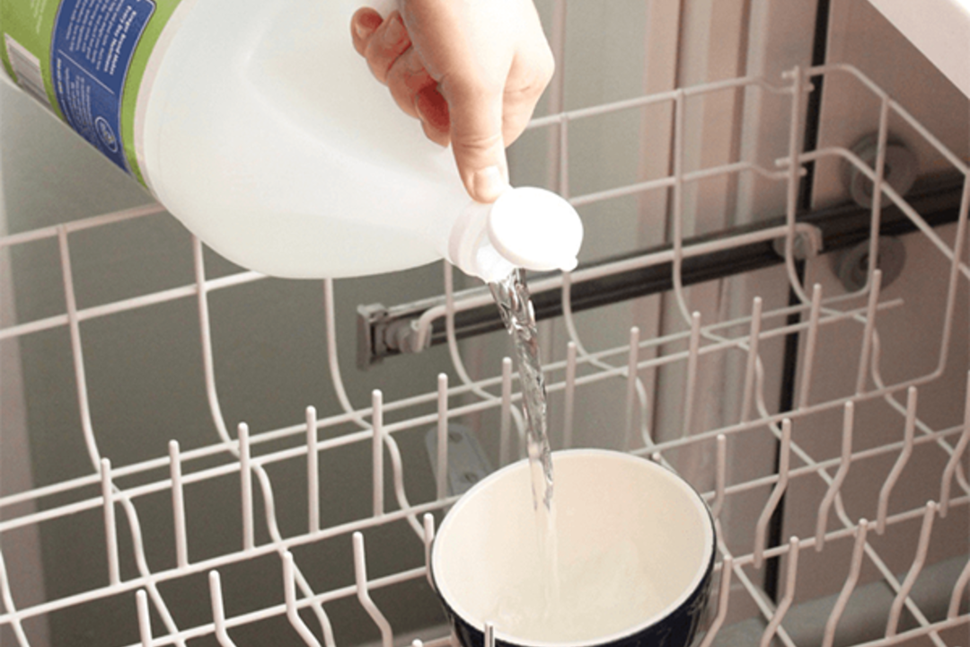 Máy rửa bát có mùi khó chịu