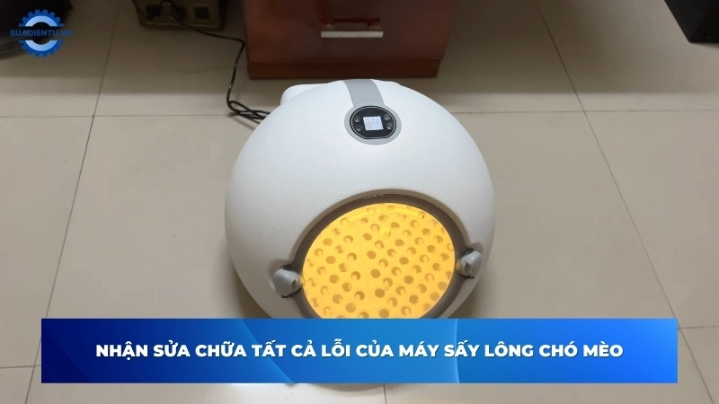 Kỹ thuật viên chuyên nghiệp khắc phục mọi sự cố của máy sấy lông chó mèo