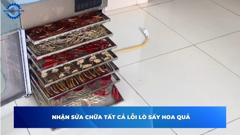 Các lỗi thường gặp trên lò sấy hoa quả cần khắc phục ngay