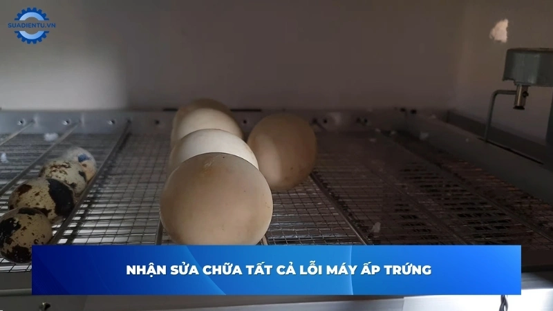 Sửa Điện Tử chuyên xử lý triệt để mọi lỗi trên máy ấp trứng