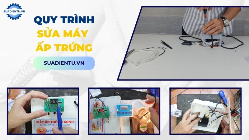 Quy trình bảo dưỡng và sửa máy ấp trứng chuyên nghiệp