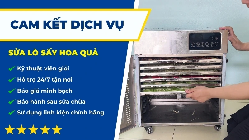 Lý do nên chọn dịch vụ sửa lò sấy hoa quả giá rẻ tại Sửa Điện Tử